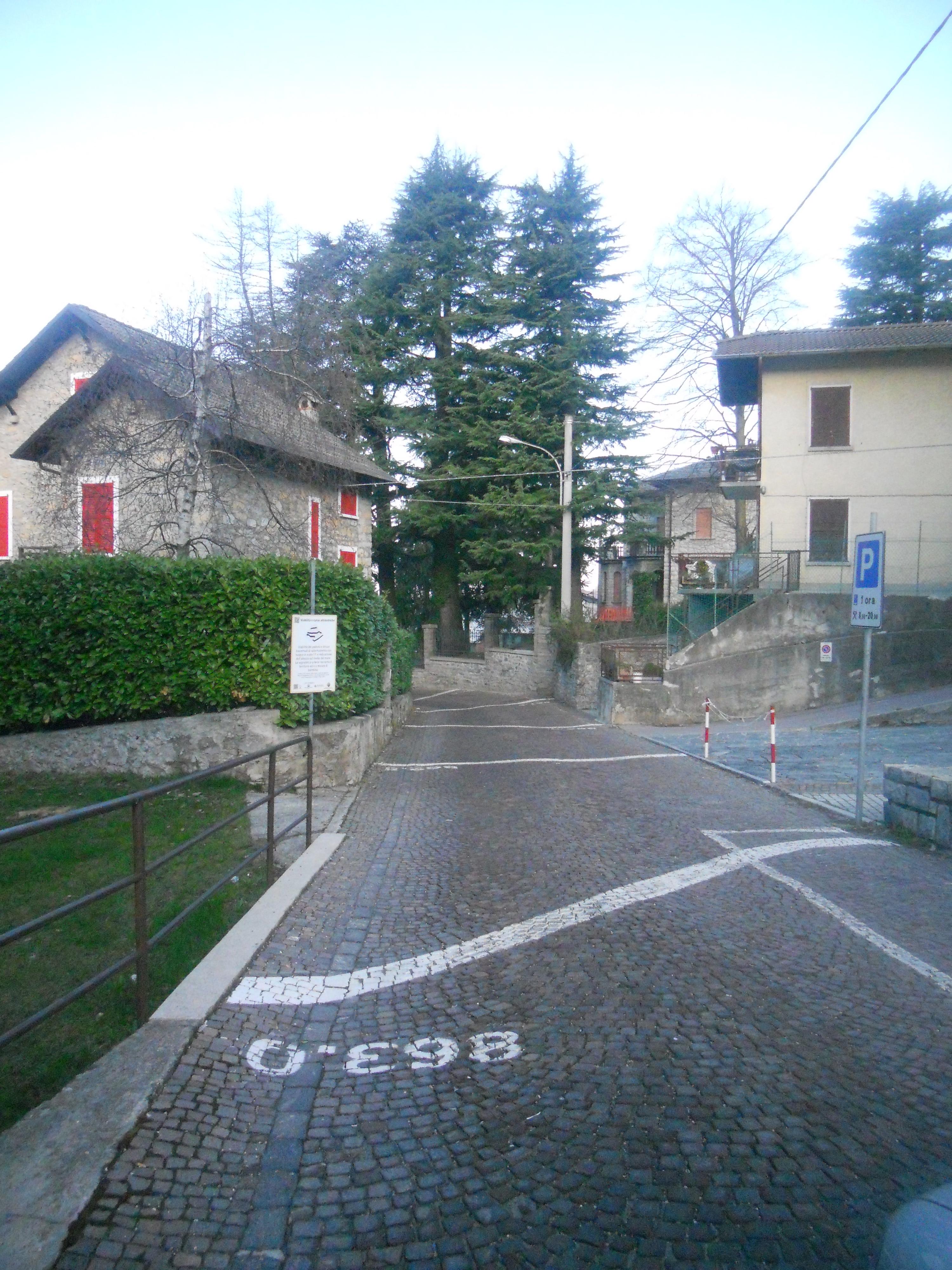 Curve di livello